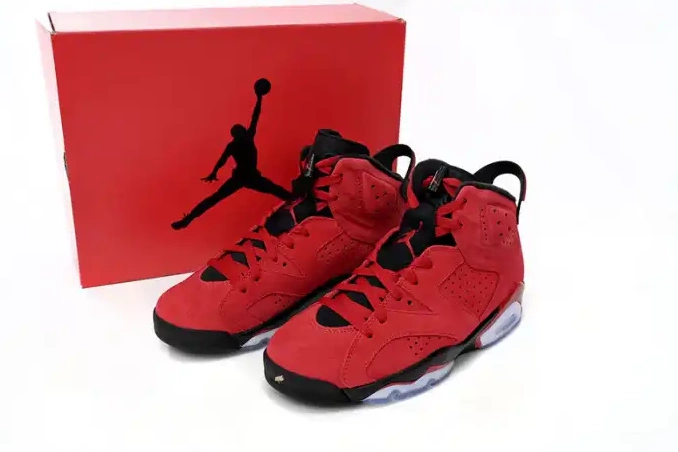 Rep Jordan 6 Toro Air CT8529-600 0603